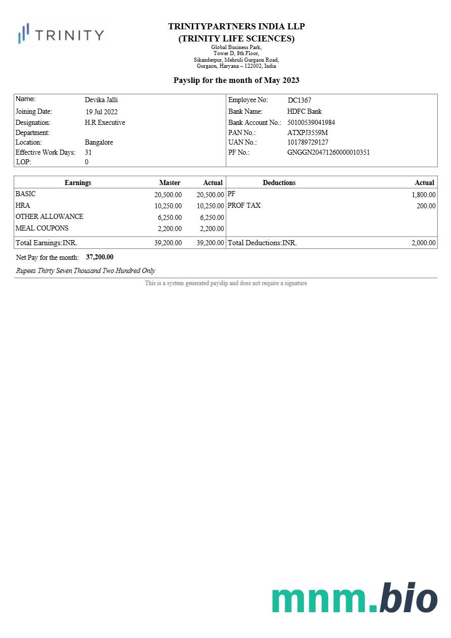 Szablon odcinka wypłaty Trinitypartners India real estate w formatach Word i PDF